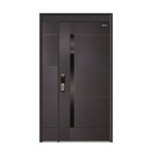 GC-854 단열 현관문(유럽형)